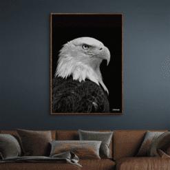 American-Eagle-Mørke-Brun-Eg-Plakatramme