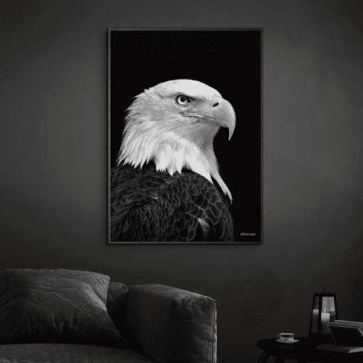 American-Eagle-Sort-Plakatramme-Eg