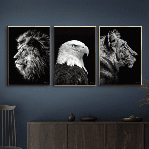 Løve-American-Eagle-Tiger-Messing-Plakatrammer-50x70