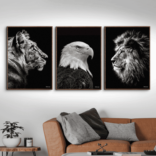 Tiger-American-Eagle-Løve-Plakat-Brune-Eg-Plakatrammer