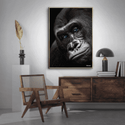 Close-Front-Gorilla-Messing-Plakatramme