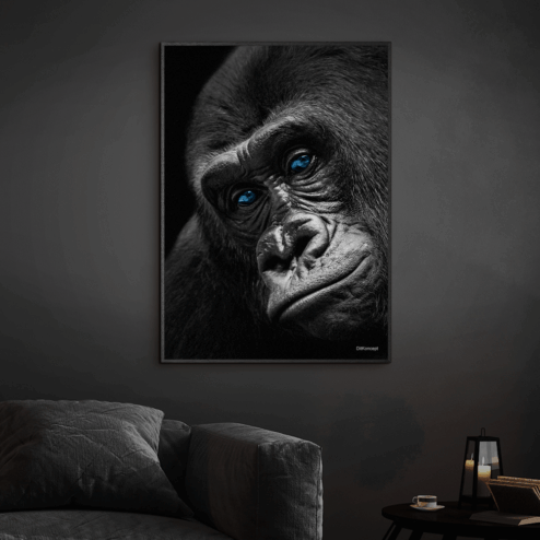Close-Front-Gorilla-Sort-Plakatramme-Eg