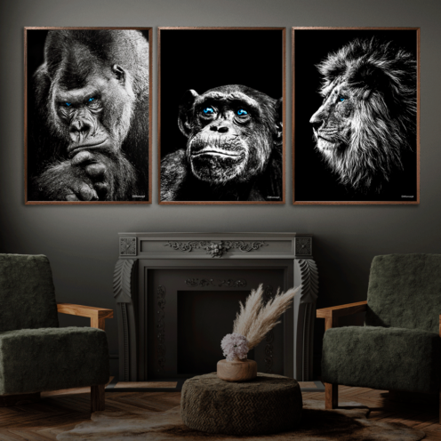 Gorilla-Chimpanse-Løve