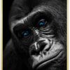Gorilla-Close-Up-Plakatramme-Messing