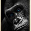 Gorilla-Close-Up-Plakatramme-Messing