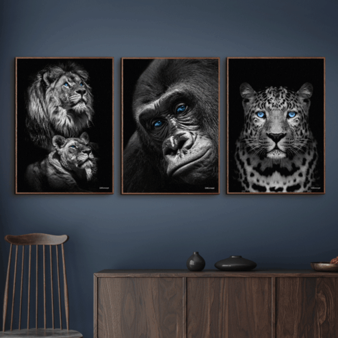 Power-Couple-Close-Front-Gorilla-Gepard-Løve-Brune-Plakatrammer