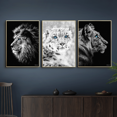 Løve-Sneleopard-Tiger-Messing-Plakatrammer