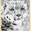 Sneleopard-Messing-Plakatramme