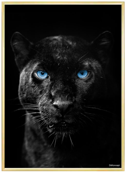 Sort-Leopard-Plakatramme-Messing