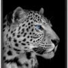 Leopard-Sort-Plakatramme