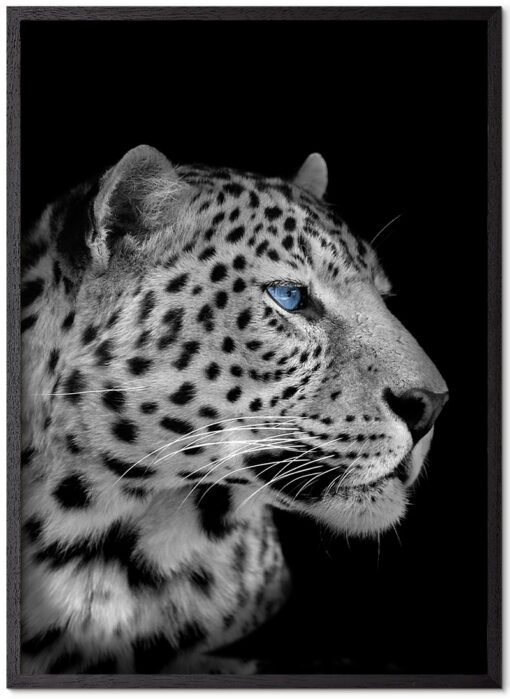 Leopard-Sort-Plakatramme