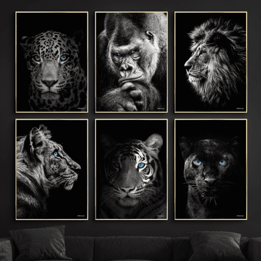 Jaguar, Gorilla, Løve, Tiger, Close Up Tiger, Sort Leopard