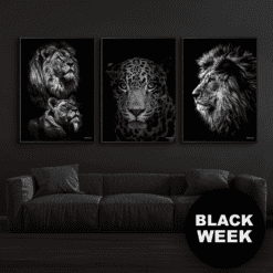 Black-Week-Power-Couple-Jaguar-Løve