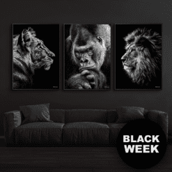 Black-Week-Tiger-Løve-Gorilla