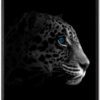 Fade-Leopard-Sort-Eg-Plakatramme