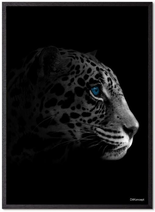 Fade-Leopard-Sort-Eg-Plakatramme