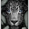 Jaguar-Kunstplakat-Sort-Eg-Ramme