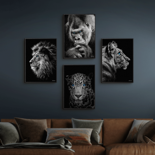 Løve-Gorilla-Jaguar-Tiger-Sorte-Plakatrammer