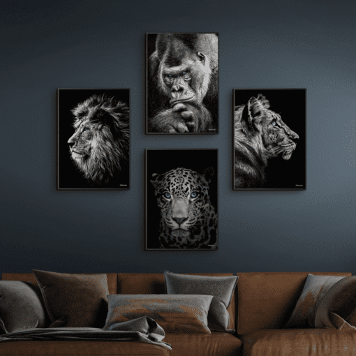 Løve-Gorilla-Jaguar-Tiger-Sorte-Plakatrammer