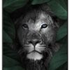 Løve-Kunstplakat-Sort-Plakatramme-Eg