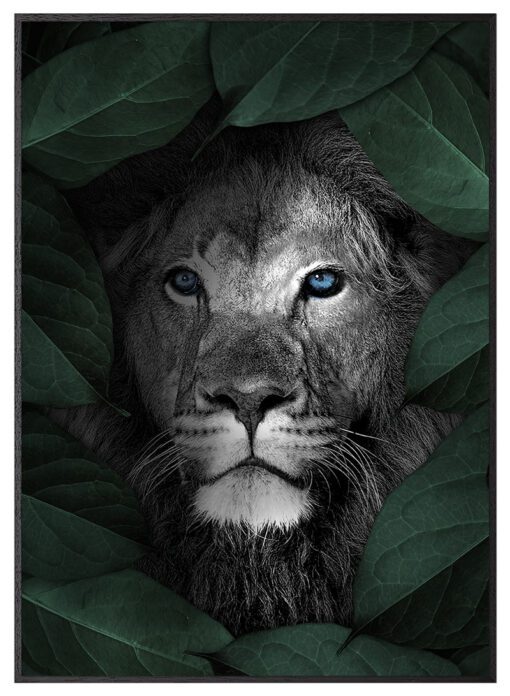 Løve-Kunstplakat-Sort-Plakatramme-Eg