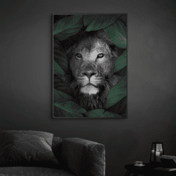 Løve-Kusntplakat-Mørk-Eg-Ramme-Miljøbillede