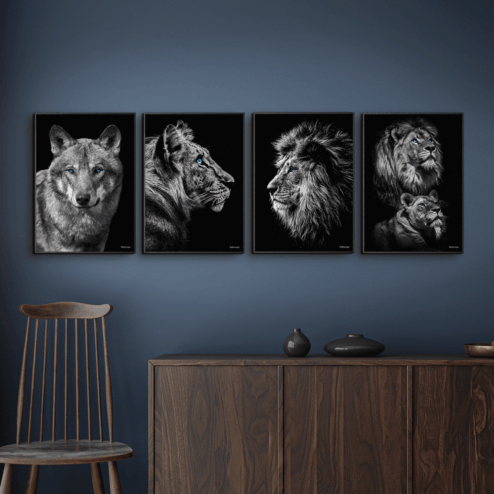 Ulv-Tiger-Løve-Power-Couple-Sorte-Plakatrammer