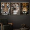 Tiger-Løve-Jaguar