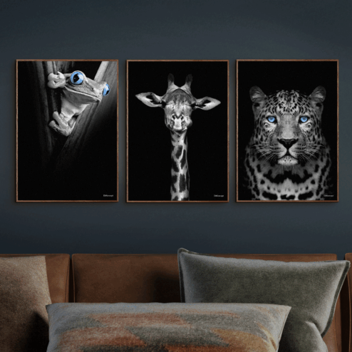 Frø-Giraf-Gepard 30x40