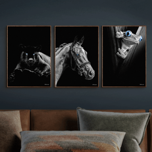 Puma-Hest-Frø 30x40