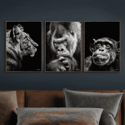 Tiger-Gorilla-Chimpanse 30x40