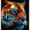 RIGHT-TIGER-Kunstplakat-Brun-ramme-miljøbillede