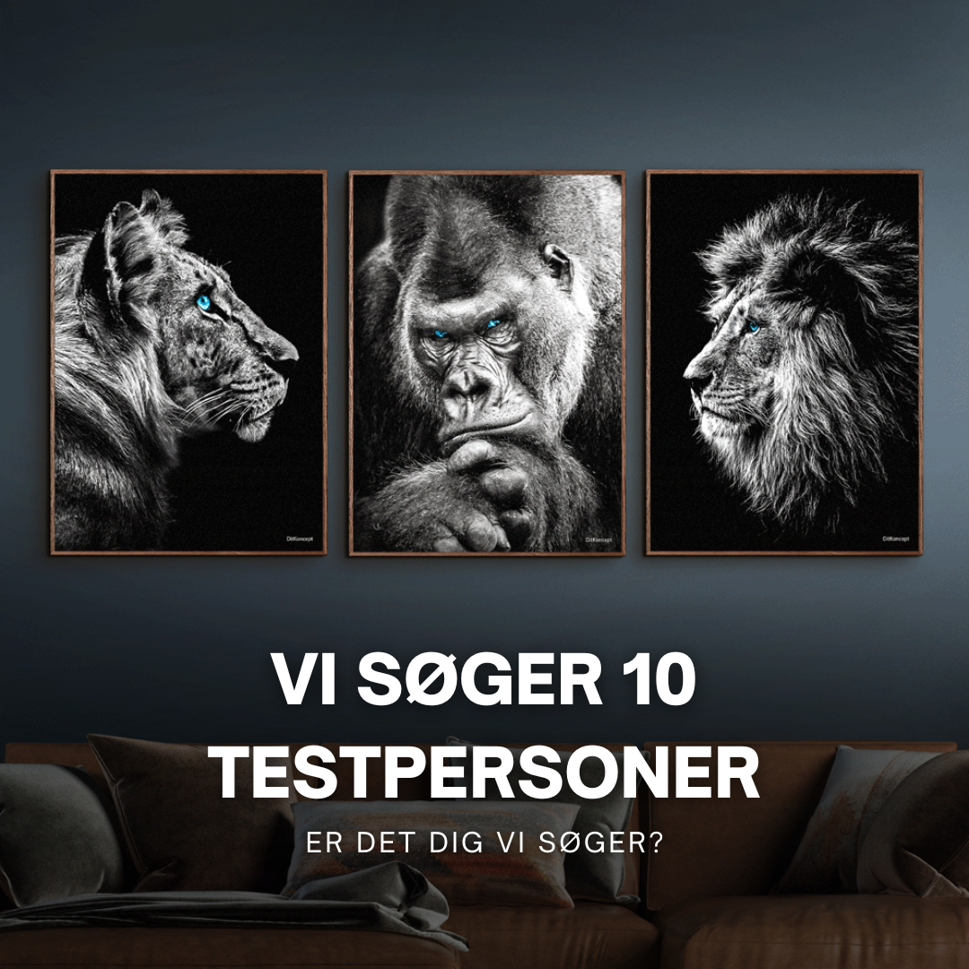 Testpersoner-pakken (29 kr. – fragtbetaling)
